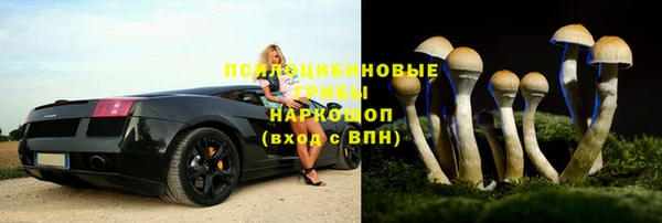 Альфа ПВП Каменка