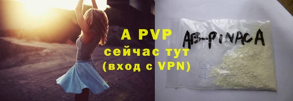 Альфа ПВП Каменка
