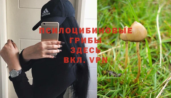 Альфа ПВП Каменка